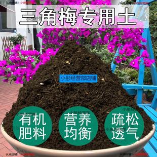 三角梅专用营养土家庭园艺土盆栽通用泥土种植花卉绿植培养土肥料