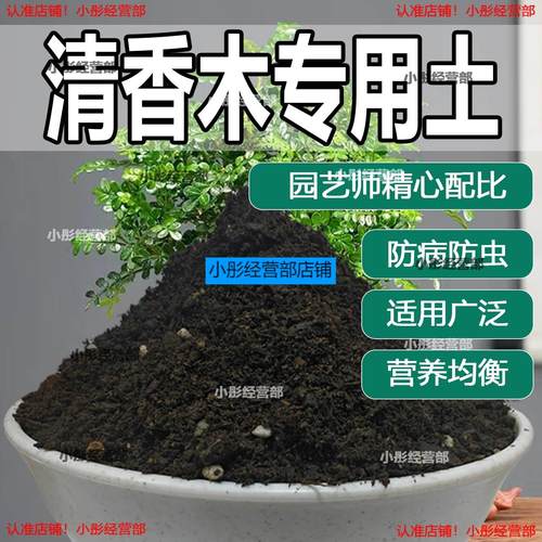 清香木专用土清香木专用营养土盆栽土养花种花土通用种植土壤肥料