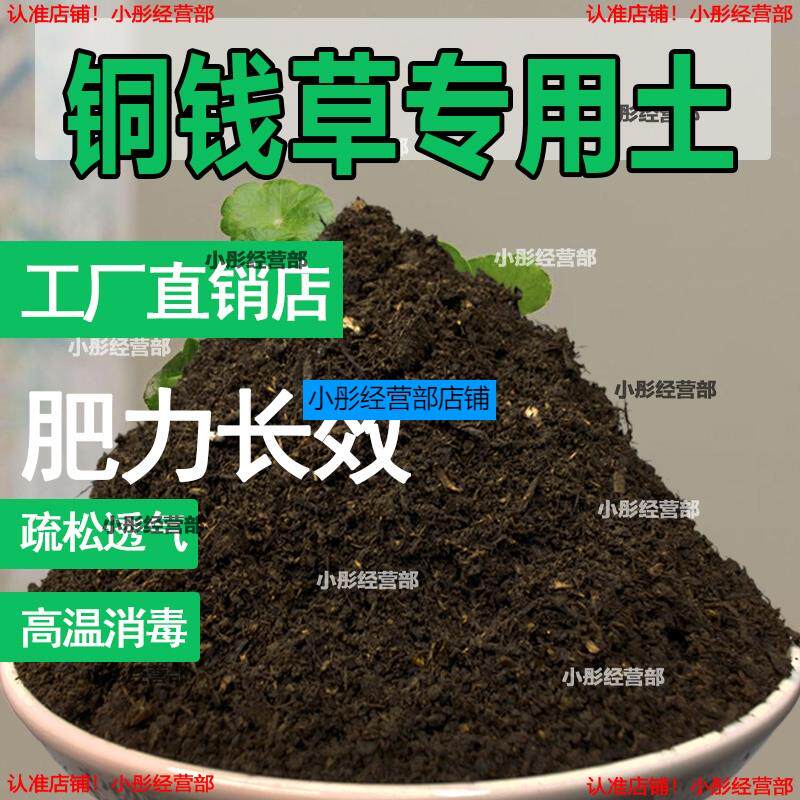 铜钱草植物土家庭盆栽养花土通用铜钱草营养土绿植种植土有机肥料