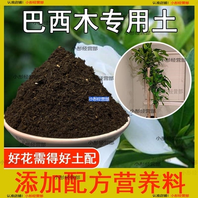 巴西木专用土巴西木土盆栽花泥土营养土透气通用种植土壤养花种花
