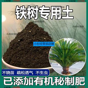 铁树专用土营养土透气通用土壤养花土壤家用种植土有机肥料培养土