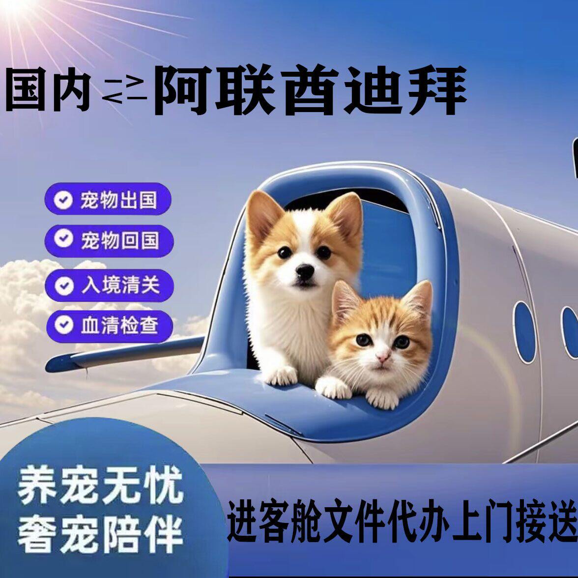 迪拜阿联酋宠物单独托运猫狗回国出国文件代办