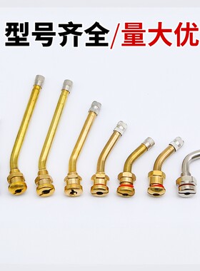 中巴纯铜大车包邮真空气门嘴