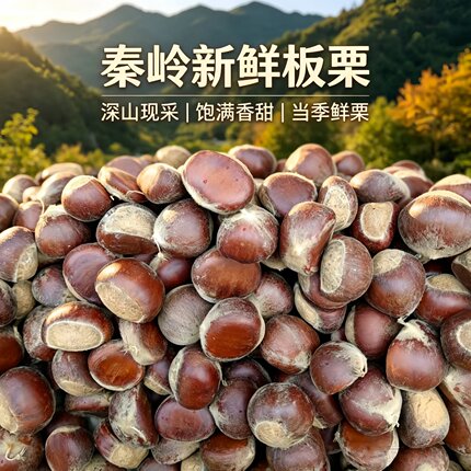 陕西秦岭深山新鲜生板栗农家现摘生毛栗粉糯香甜当季鲜果产地直发