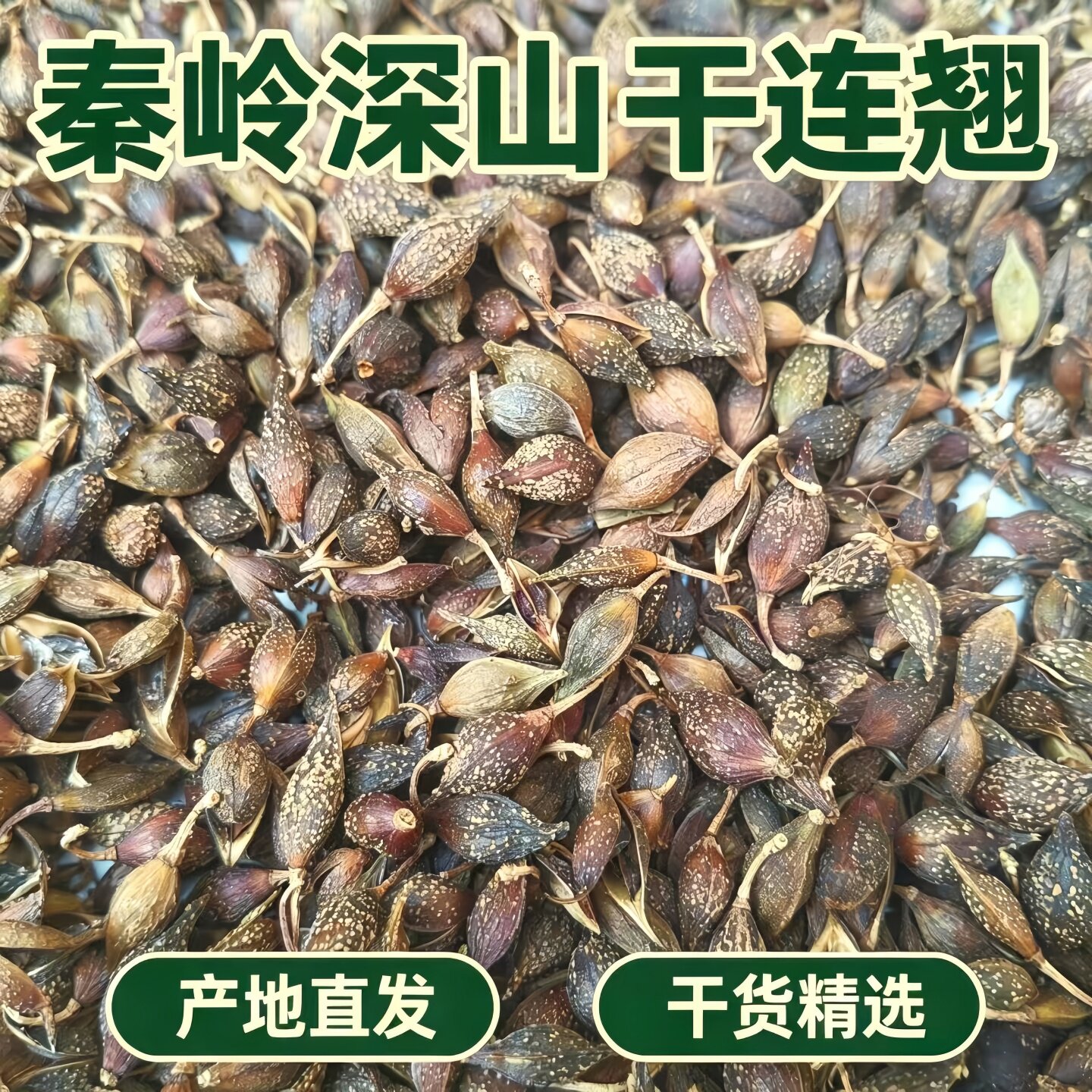 秦岭干连翘无硫新货泡茶