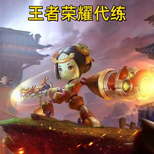 王者荣耀代练代肝等级刷金币铭文拿限定皮肤王者农场金币排位养号