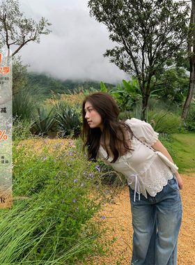 橘子树在哪儿法式蕾丝短袖衬衫女