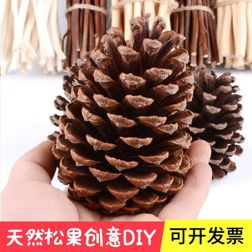 幼儿园装饰diy摆件天然松果
