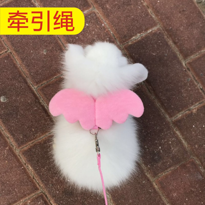 兔子牵引绳 天使翅膀遛兔绳 宠物牵引绳可伸缩调节长度兔绳防挣脱,宠物/宠物食品及用品,兔绳,淘宝优惠券,粉丝福利购,淘宝优惠卷
