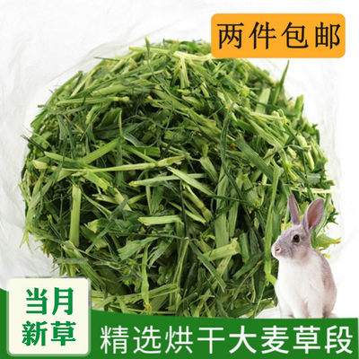 大麦草草段兔粮兔子粮食兔草200g