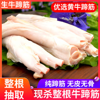 牛蹄筋新鮮牛大筋生牛主筋牛肉筋1000g新鮮牛筋放心食用新鮮食品