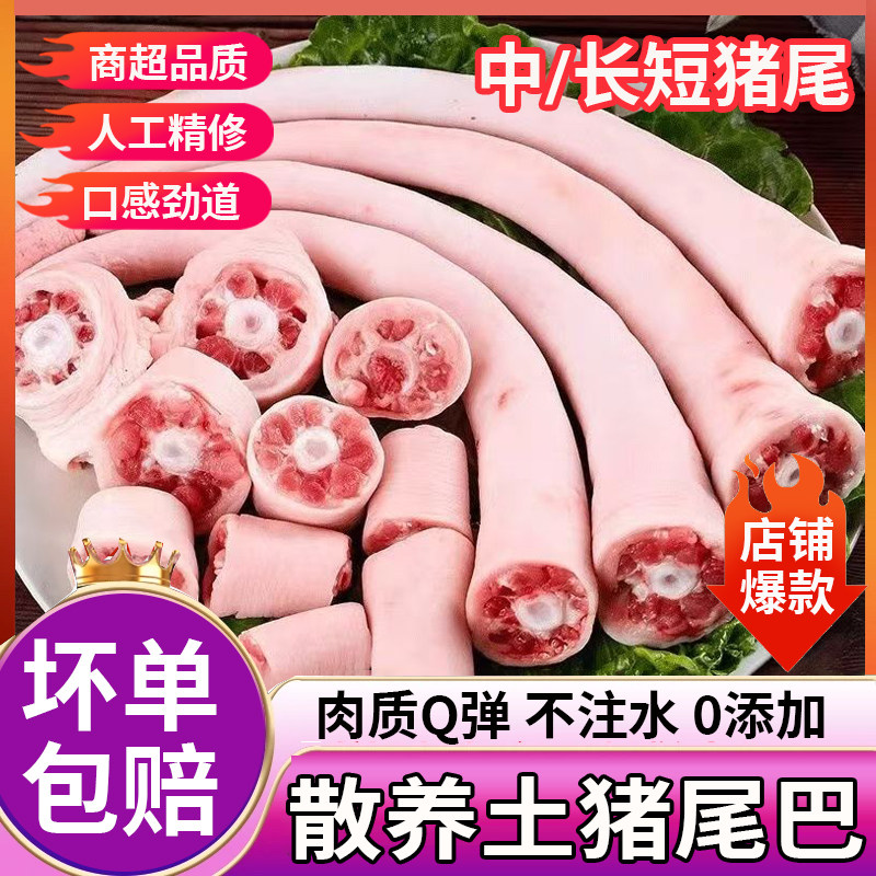 短中长猪尾巴三种规格猪尾巴整根土猪散养猪尾干净新鲜发货带皮