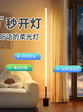 智能语音控制小夜灯声控感应卧室床头插电台灯氛围高级家用落地灯