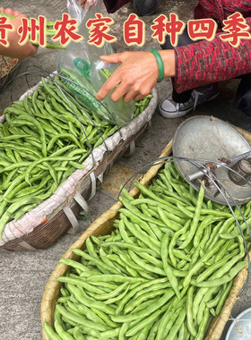 贵州农家露天自种四季豆新鲜菜豆角芸扁豆无筋豆架豆刀豆龙豆青豆