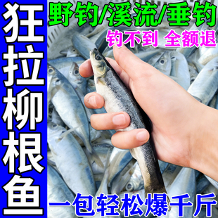 柳根鱼专用饵料东北雅罗柳根鱼窝料野钓冷水溪流一包搞定四季通杀