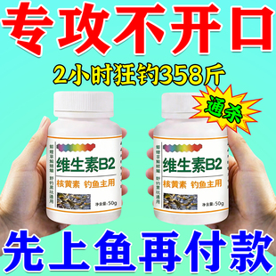 维生素b2钓鱼专用诱食剂鱼饵窝料添加剂核黄素鲫鱼鲤鱼野钓通杀