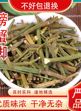 云南螃蟹脚500古茶树寄生茶正宗特级螃蟹脚枫香槲寄生批发