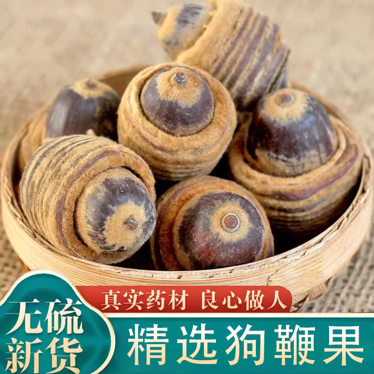 狗鞭果中药材野生毛毛果猪仔粒锁阳果男人泡酒料风流果干货阴阳子