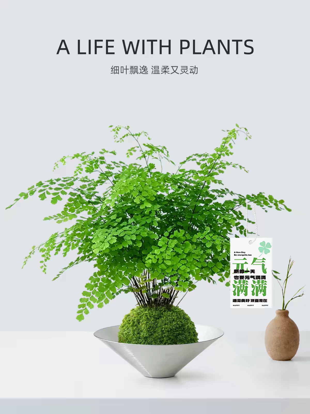 苔藓球盆栽室内桌面绿植好养易活净化空气节日送礼送朋友
