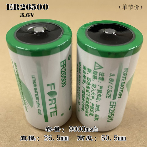 FORTE孚特ER26500智能水表燃气表