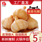 姜老大糖醋蒜糖蒜泡菜腌泡大蒜头山东金乡甜蒜自制农家咸菜下饭菜