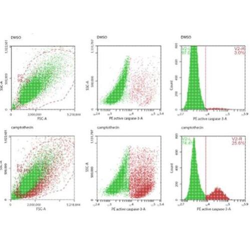 热图韦恩图火山图森林图气泡图单细胞miRNA靶基因转录组RNAseq