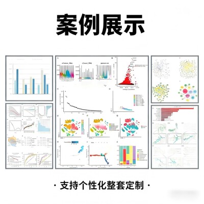 R语言绘图 一对一指导 火山图 环形热图 森林图 硕博课题