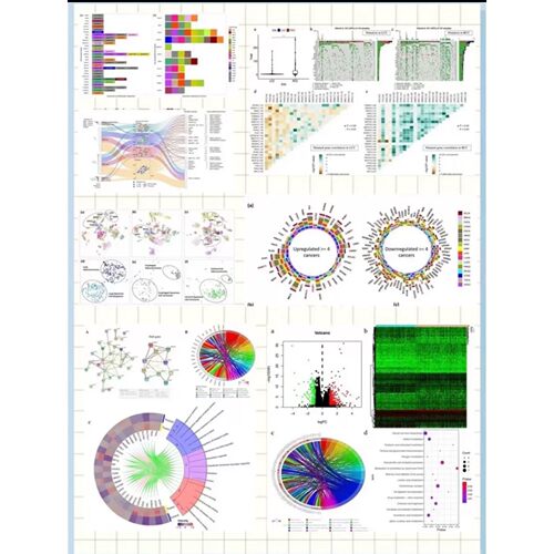 R语言代码Rstudio绘图SCI科研生信医学桑基热图数据分析作图教程