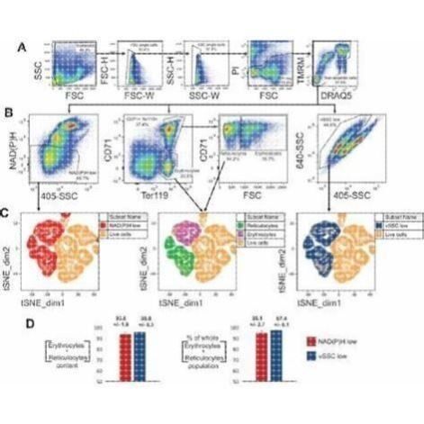 NCBI blast多序列比对服务