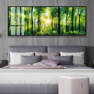 绿色生机养眼大树森林太阳光田园风景公司贵宾会客室装饰晶瓷挂画