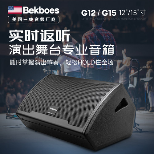 12/15寸返听音箱舞台监听音响
