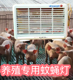 盈誉击灭蚊灯灭蚊蝇灯养殖猪场无辐射静音驱电蚊器厅餐灭蝇器灯