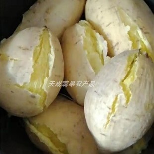 正宗潮汕现挖黄心板栗薯香甜软糯粉白皮黄肉食品农家鸡蛋番薯瓜