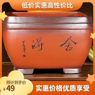 紫砂花盆四方形盆景盆家用君子兰客厅桌面花盆花卉绿植梅花松柏