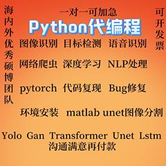 Python深度学习代做遥感医学图像识别目标检测语义分割编程序接单