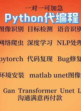 Python深度学习代做遥感医学图像识别目标检测语义分割编程序接单