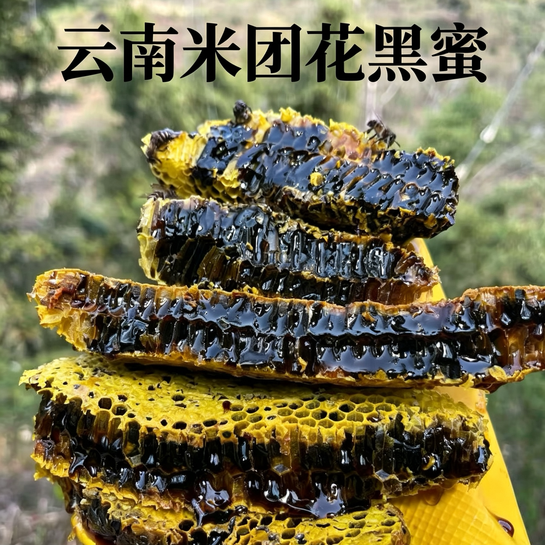 2026年云南头茬黑蜜花青素米团花蜜珍稀野生蜂蜜春蜜液态结晶蜜