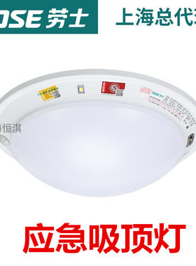 劳士3C认证新国标应急吸顶灯，楼道声光控吸顶灯，L-ZFZD-E5W1210