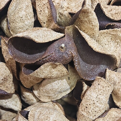 8年陈新会老陈皮干仓足年份仓底货性价比高断片皮整皮