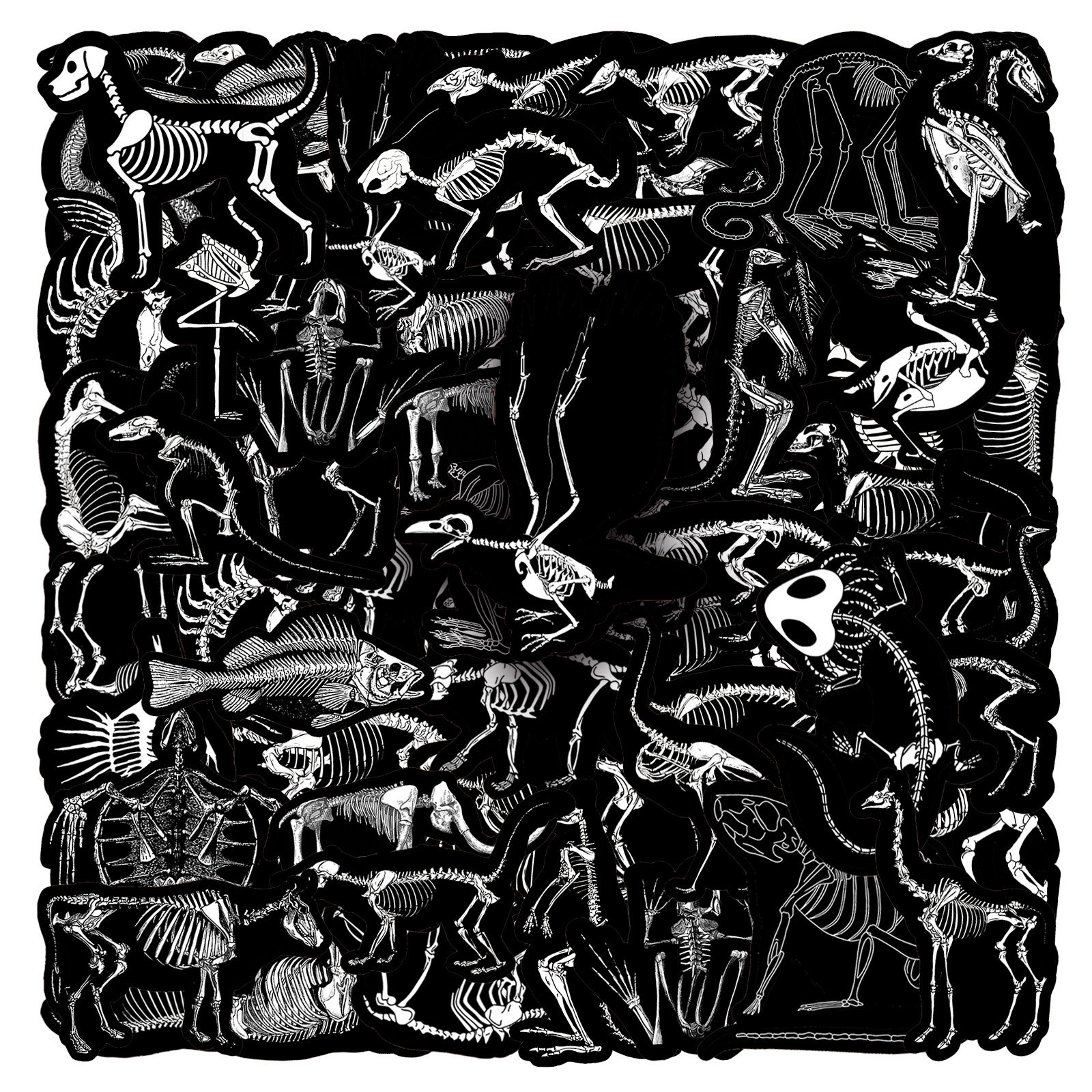 50张动物骨架涂鸦贴纸个性跨境创意黑边装饰水杯滑板行李箱贴纸