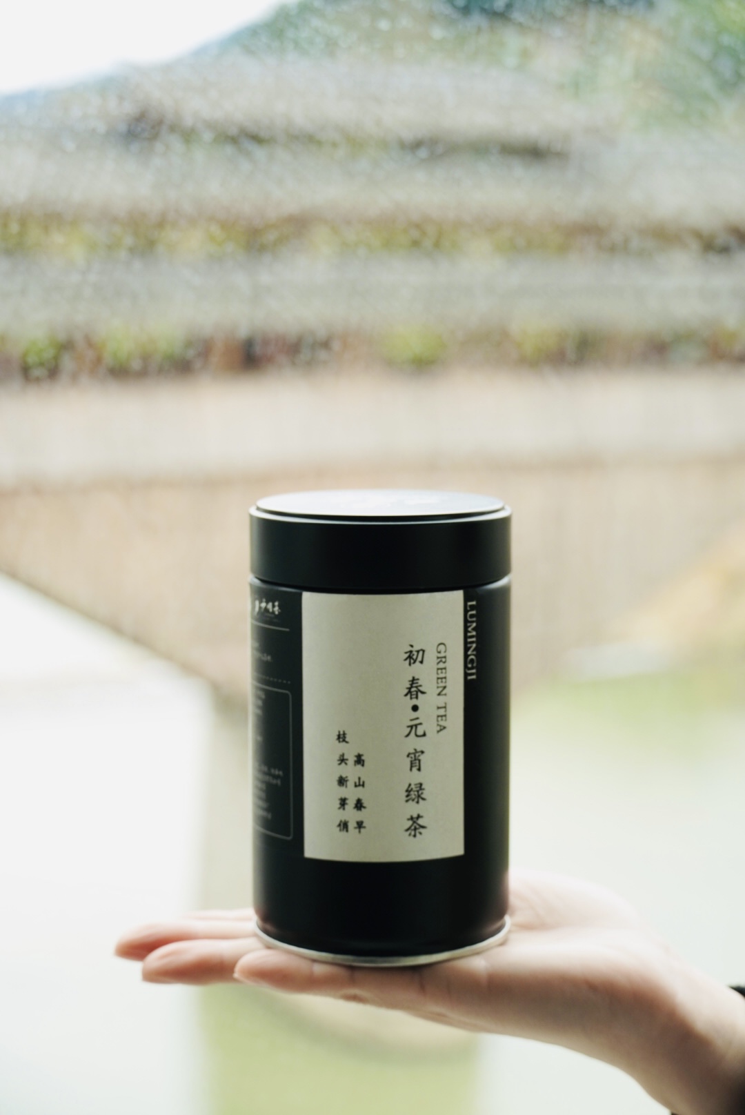 2025头春明前早春元宵绿茶寿宁高山茶 卢明基手工制作 炒青绿茶