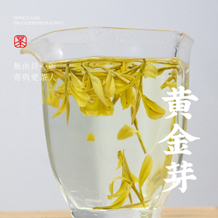 茶乡梅子2024新茶春茶新茶叔叔家高山黄金芽