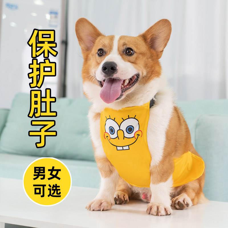 狗狗肚兜柯基犬护肚子防着凉衣服