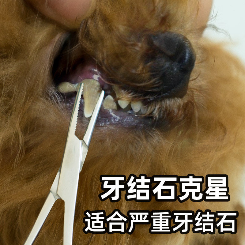 宠物用品钳子狗狗牙结石去除器口腔除臭去牙结石洁牙神器工具泰迪