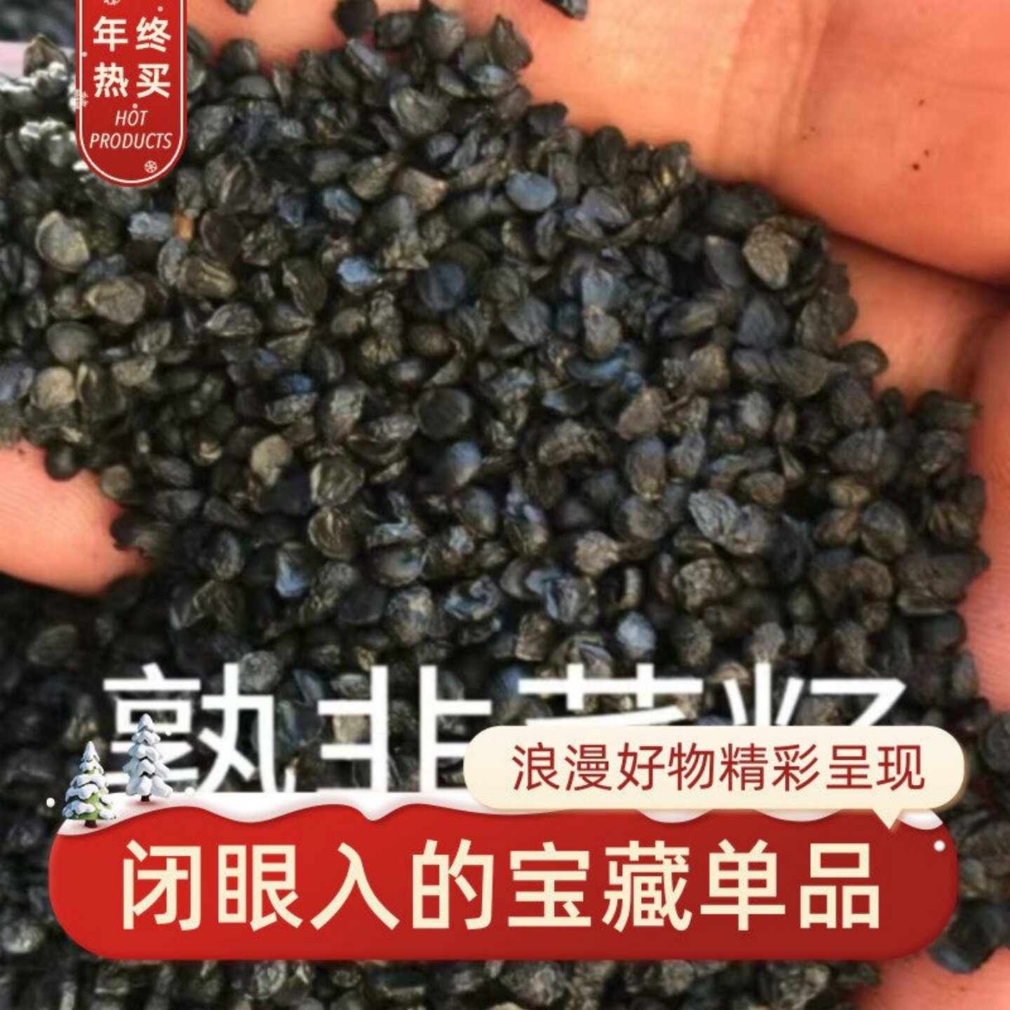 包邮东北生韭菜籽活性好炒熟内蒙古养生滋补菟丝子红枸杞北五味子