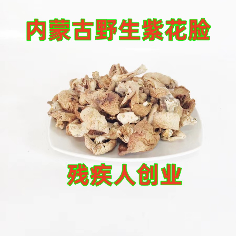 东北紫花脸大白蘑紫云盘紫丁香蘑紫内蒙古紫香蘑野生蘑菇干货