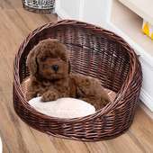 新品 藤编狗窝柳编猫屋猫窝猫房宠物笼可拆洗带泰迪小型犬帐篷 四季