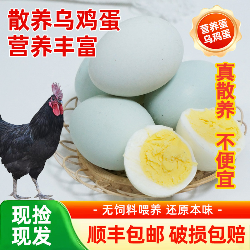 绿壳农家散养土鸡蛋乌鸡蛋新鲜正宗天然顺丰包邮营养丰富新鲜