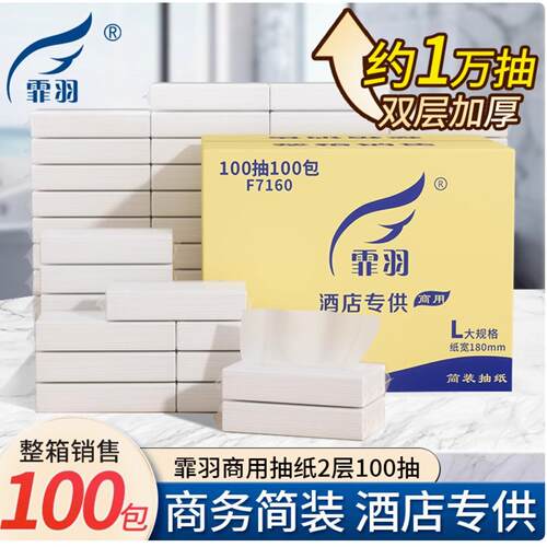 霏羽擦手纸抽纸100抽2层100包