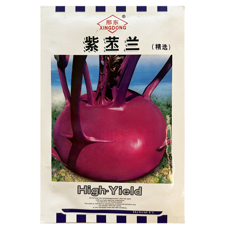 紫丕兰菜种子红丕蓝苤蓝籽皮紫肉白孑春秋冬阳台盆栽农家耐寒蔬菜